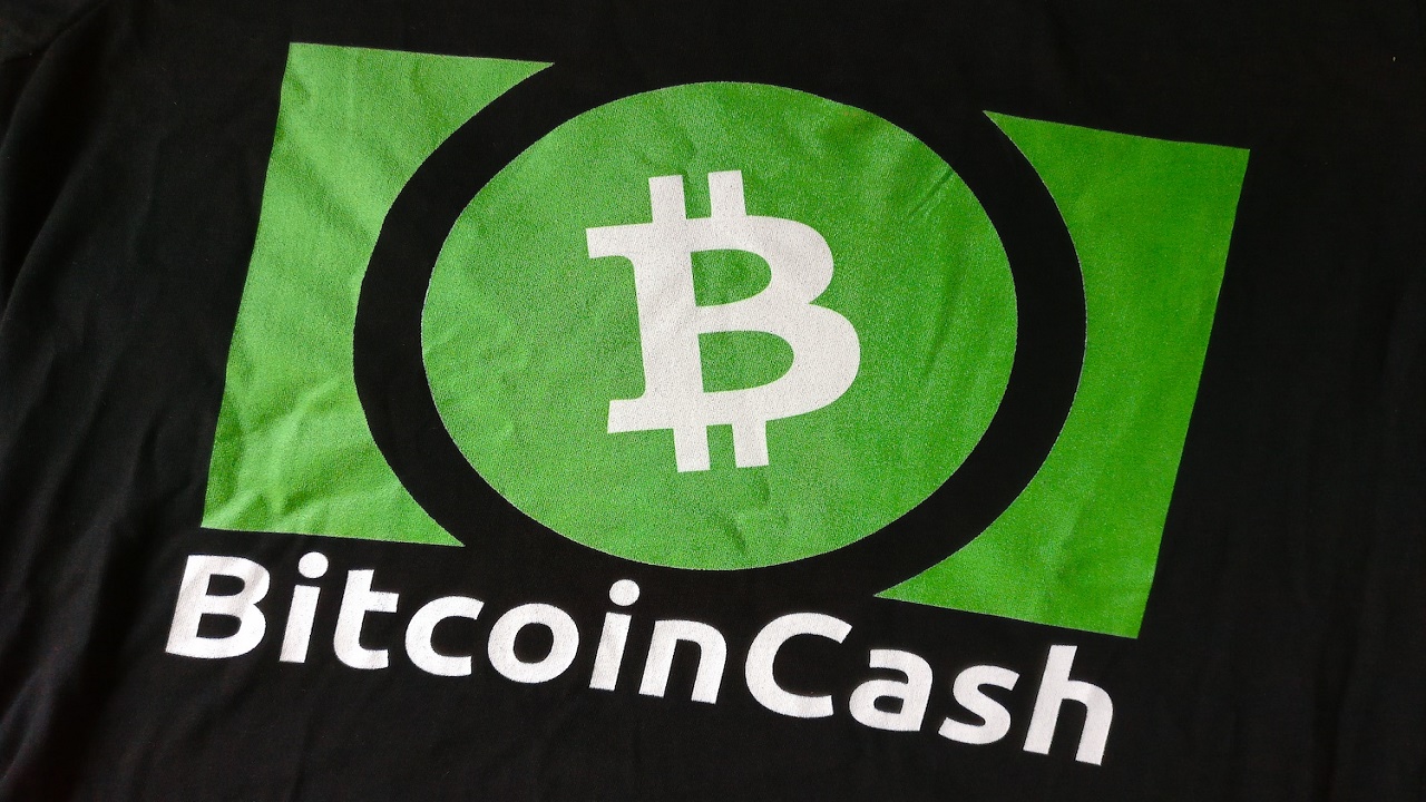Hiện tại có nên đầu tư vào Bitcoin Cash không?