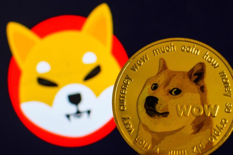 Shiba Inu, Dogecoin vượt mặt Bitcoin trên nền tảng trao đổi điện tử của Ấn Độ